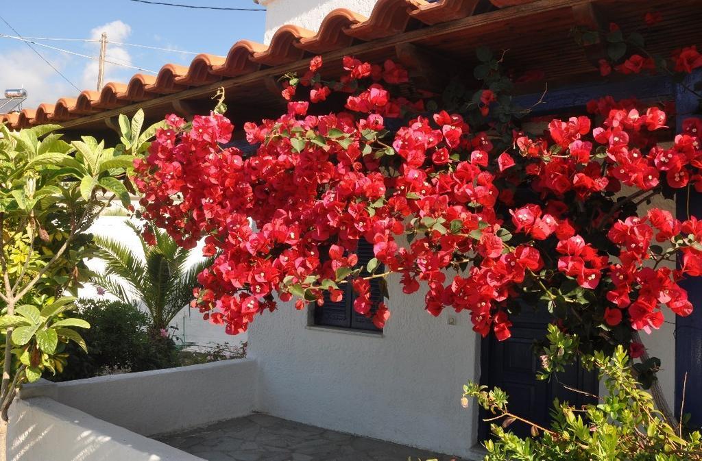 Villa Maria Μαραθόκαμπος Εξωτερικό φωτογραφία