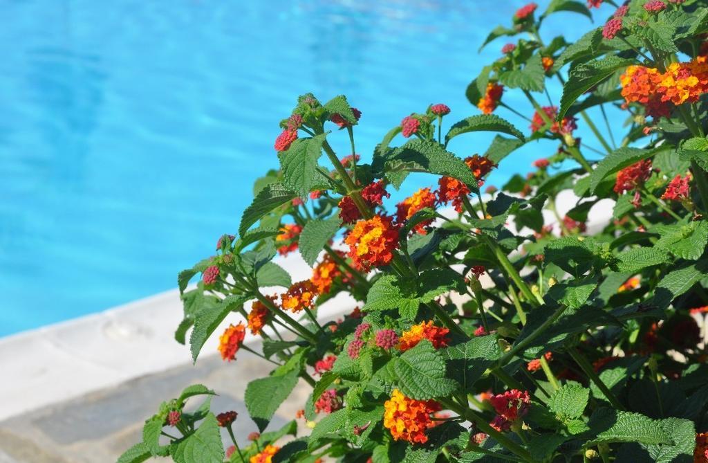 Villa Maria Μαραθόκαμπος Εξωτερικό φωτογραφία